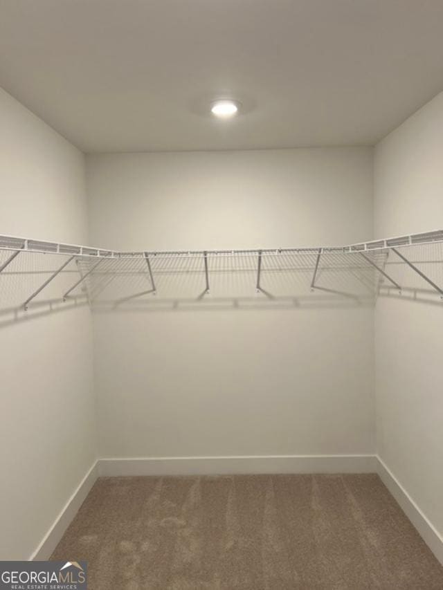 Building Photo - 111 Tallulah Trl