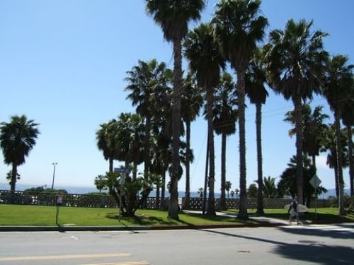 Building Photo - 2307 Ocean Ave