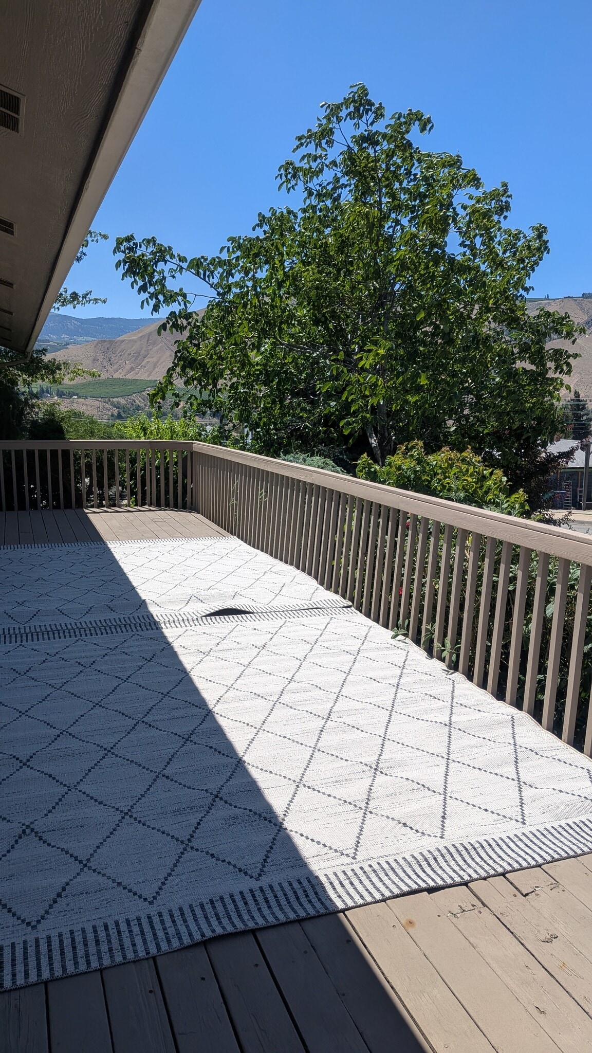 Back Deck - 632 S Lawler Ave