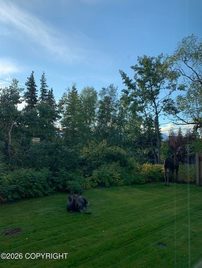 Building Photo - Fully furnished ranch style in downtown Anchorage