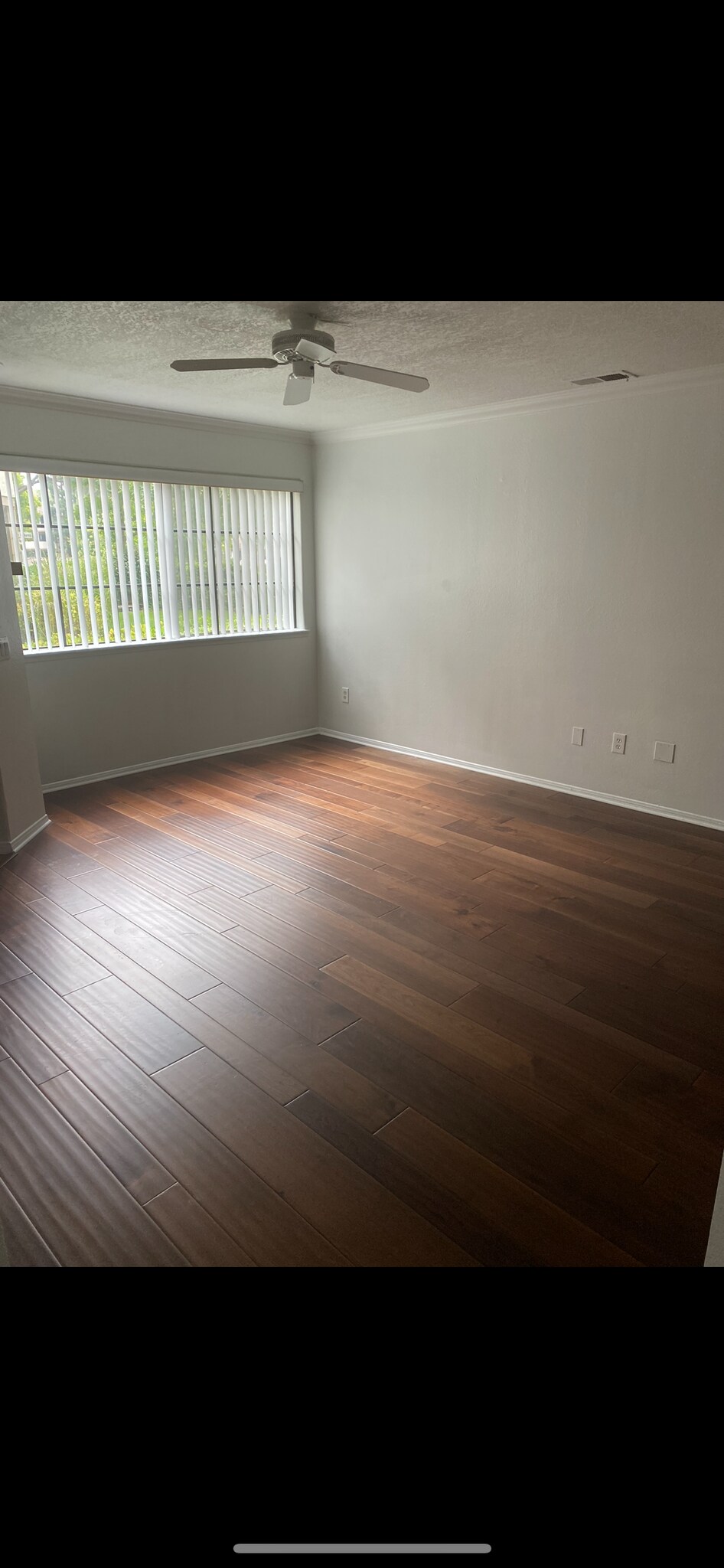 Living room - 3508 Paseo De Los Americanos