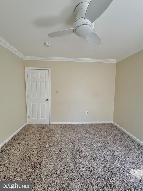 Building Photo - 12102 Snow Shoe Ct