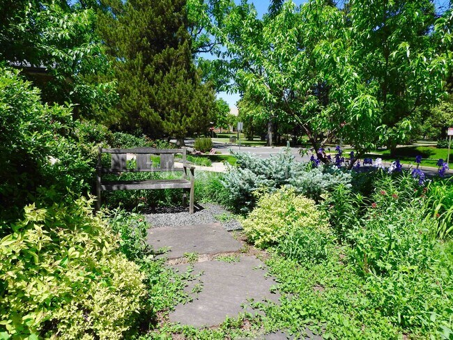 Building Photo - Park Hill Home For Rent
