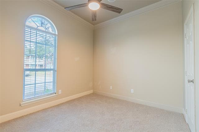 Building Photo - 4565 Blarney Stone Ct