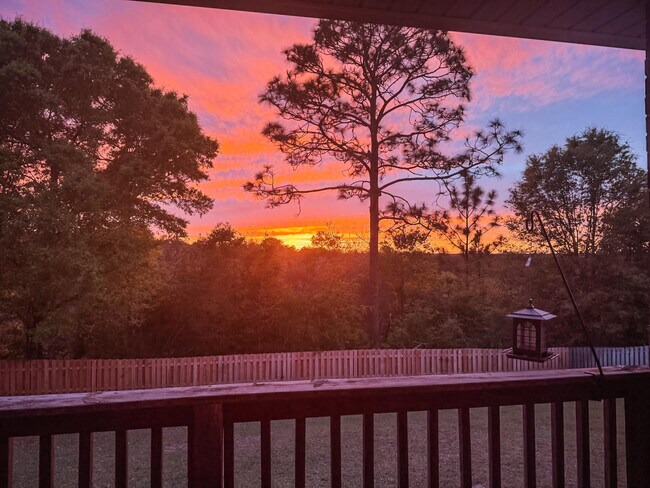 Building Photo - 509 Pheasant Trail