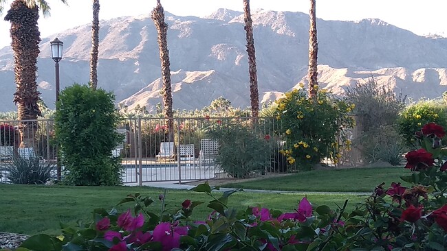 Mountain View from back patio - 72 Majorca Dr