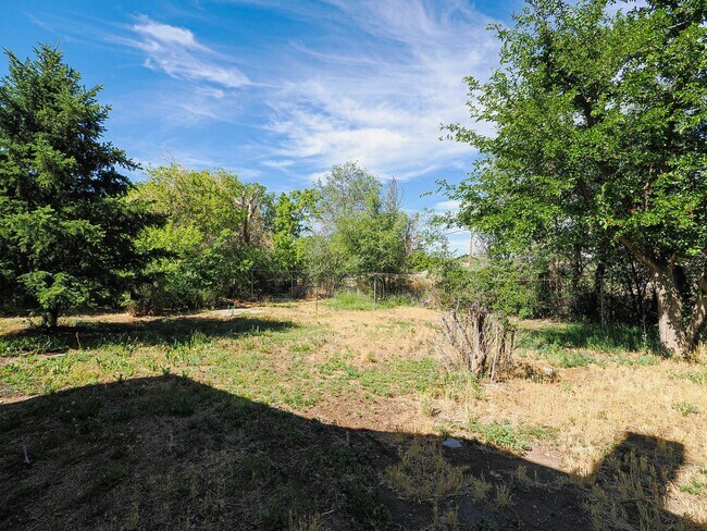 Building Photo - 2 Bedroom, 1 Bathroom American Fork Home