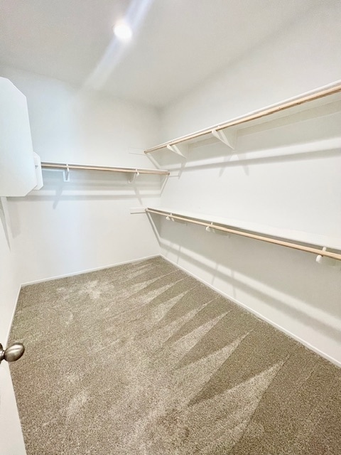 Building Photo - 2538 Wild Rose St