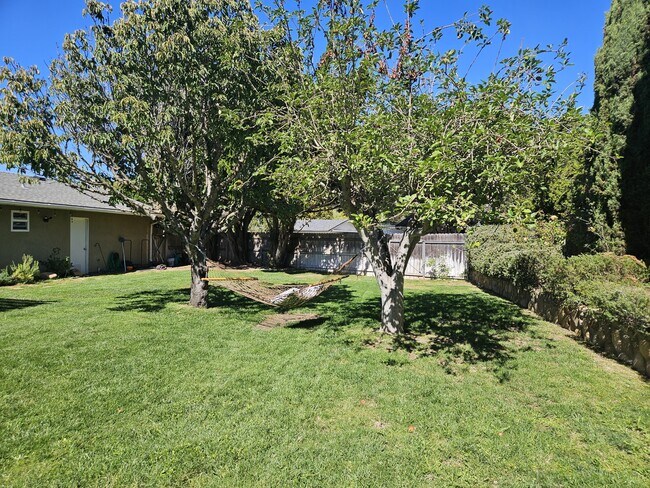 Building Photo - 494 Scandia Dr