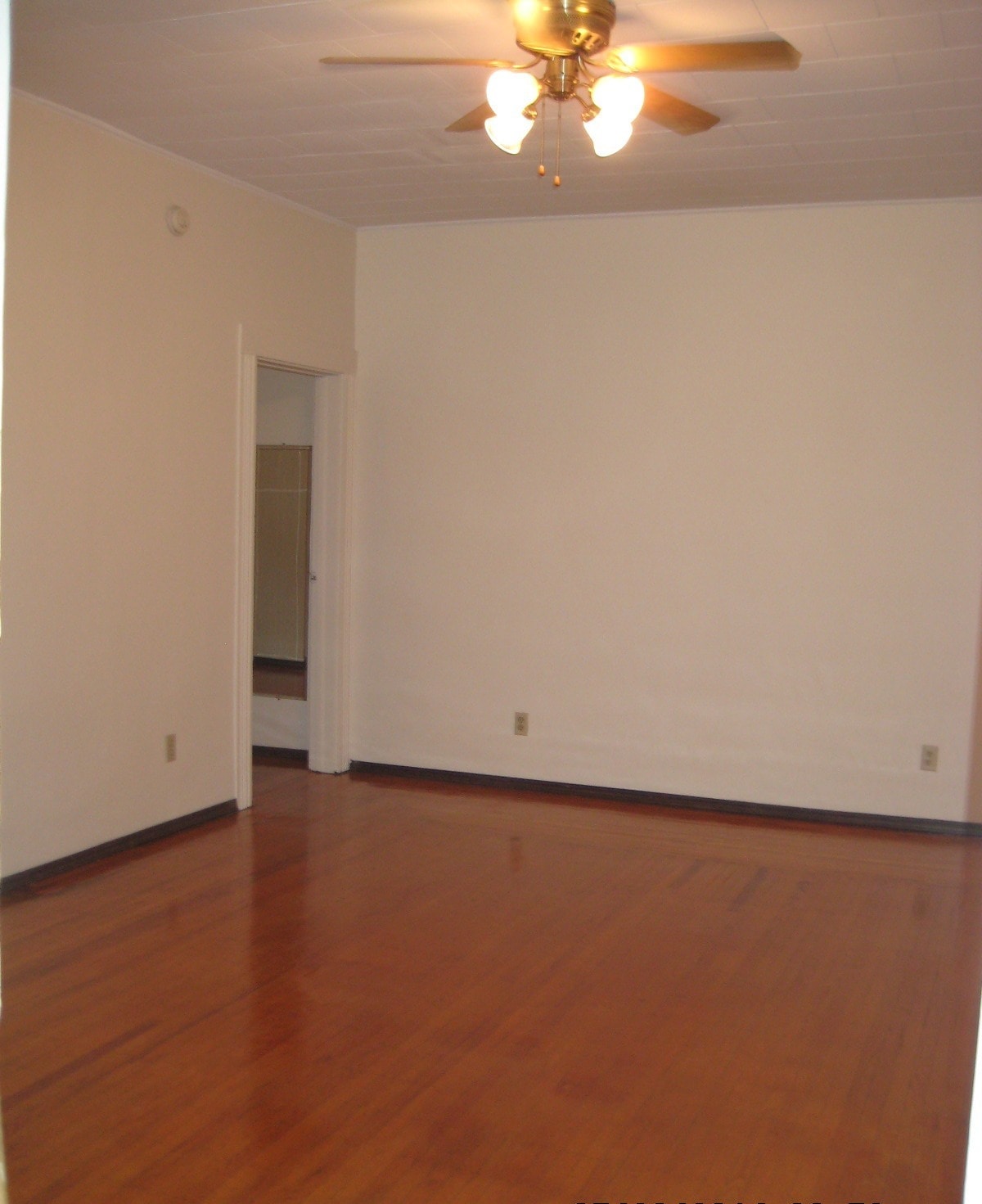 Building Photo - 46 Brighton St