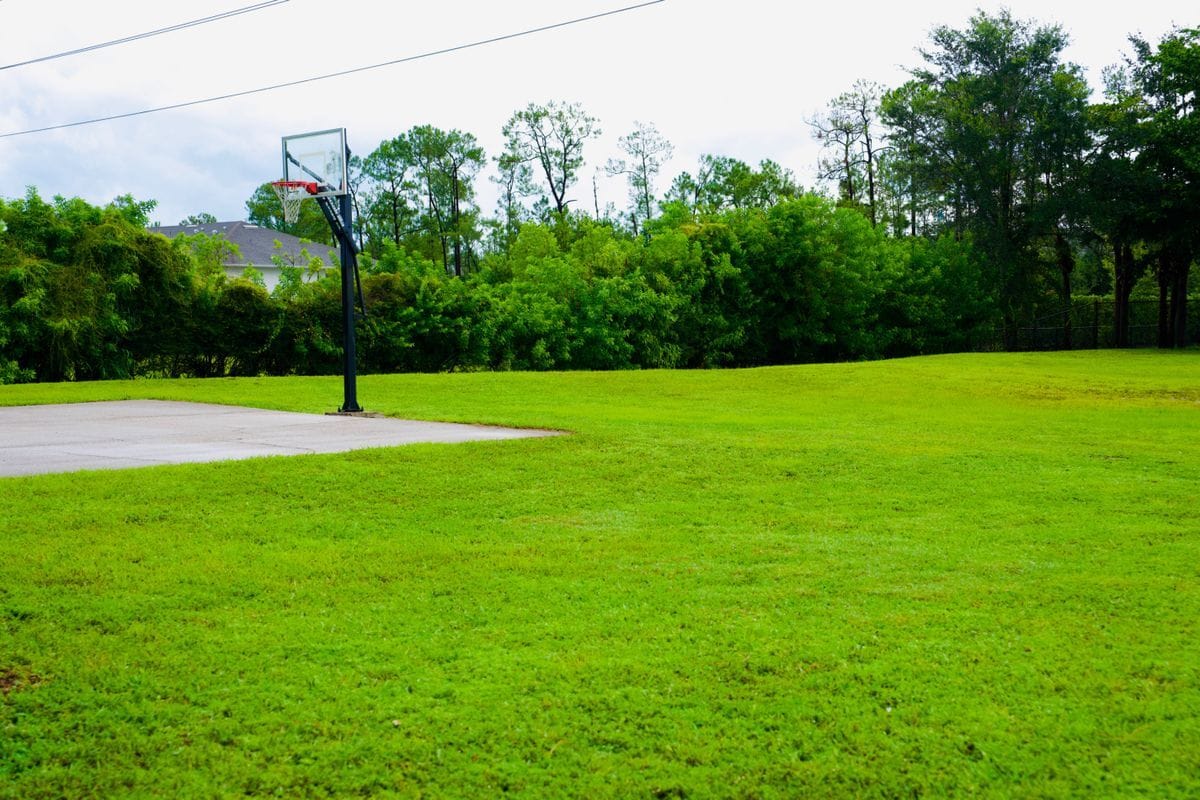 Building Photo - 1260 Oxford Ln