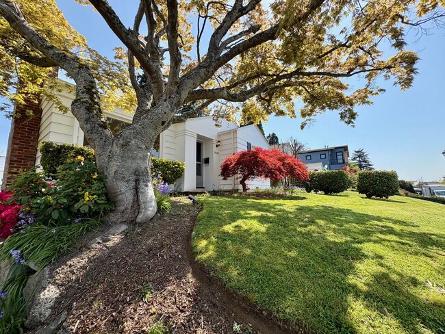 Primary Photo - Magnolia Home