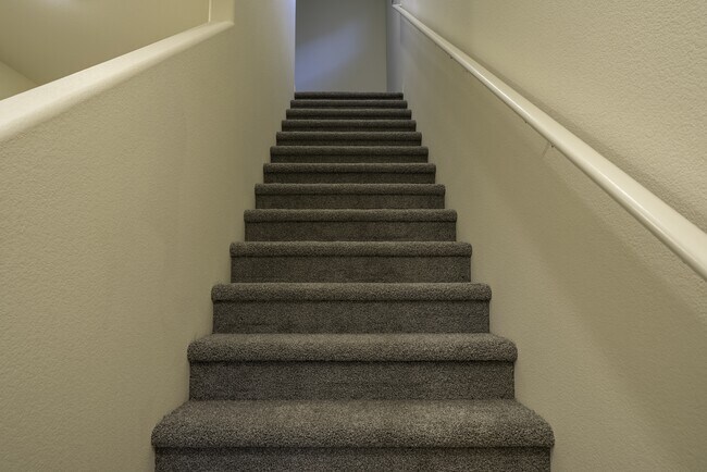 Building Photo - 4519 Merlot Hls Ave