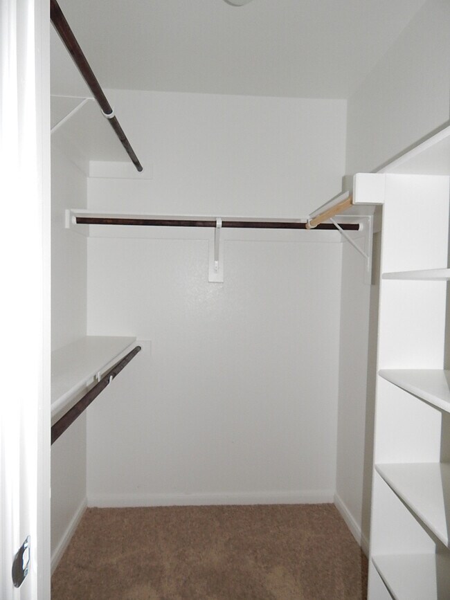 Building Photo - ***Pre-Marketing*** Stylish 4-Bedroom Home...