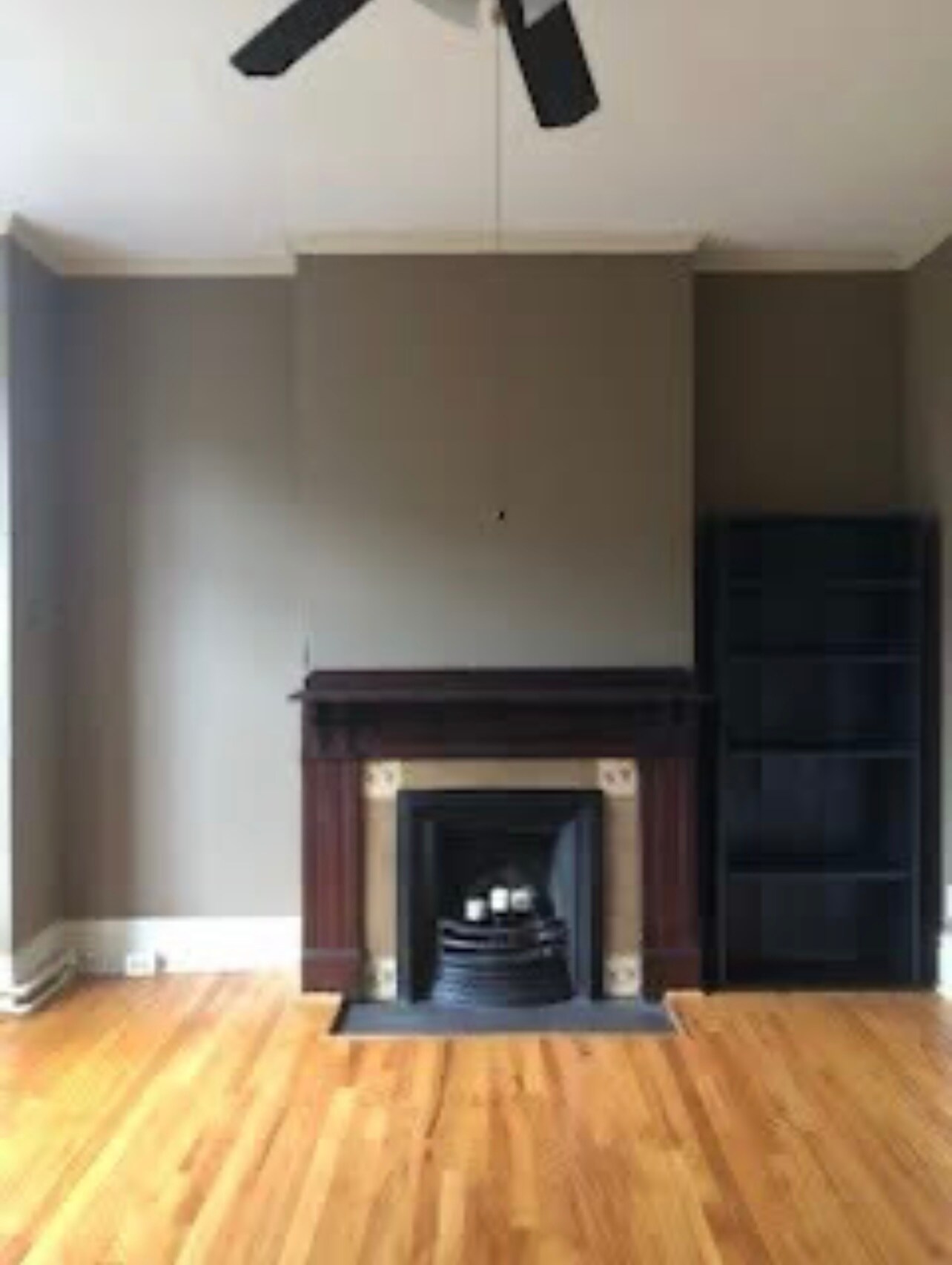 Building Photo - 356 Hamilton St