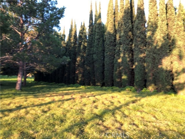 Building Photo - 122 Vintage