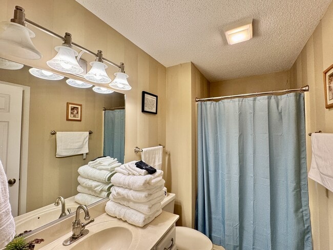 Building Photo - 308 Chota View Pl