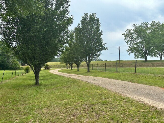 Building Photo - New Brockton, AL!