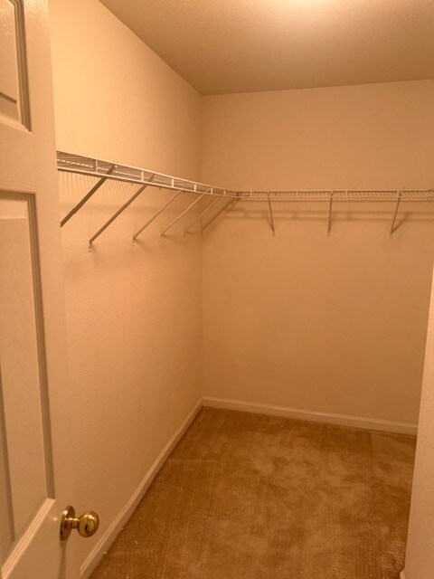 Building Photo - 8033 Farin Ct