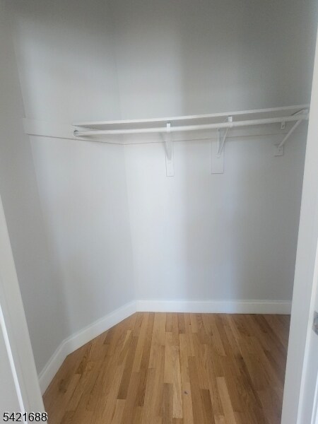 Building Photo - 1677 Springfield Ave