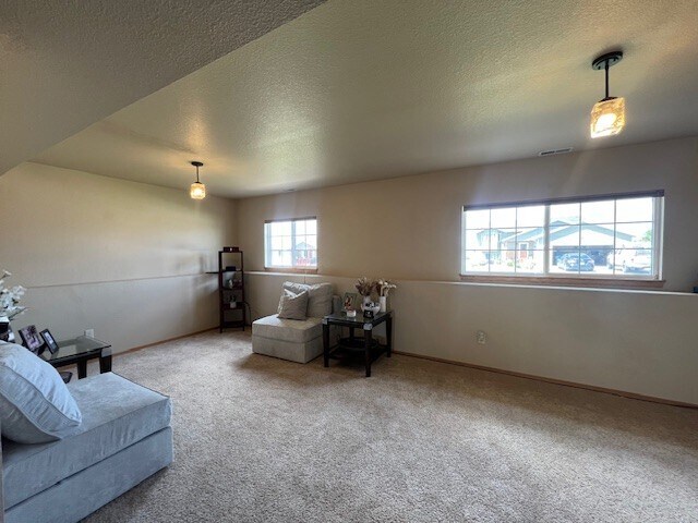 Building Photo - 287 Edelweiss Ln