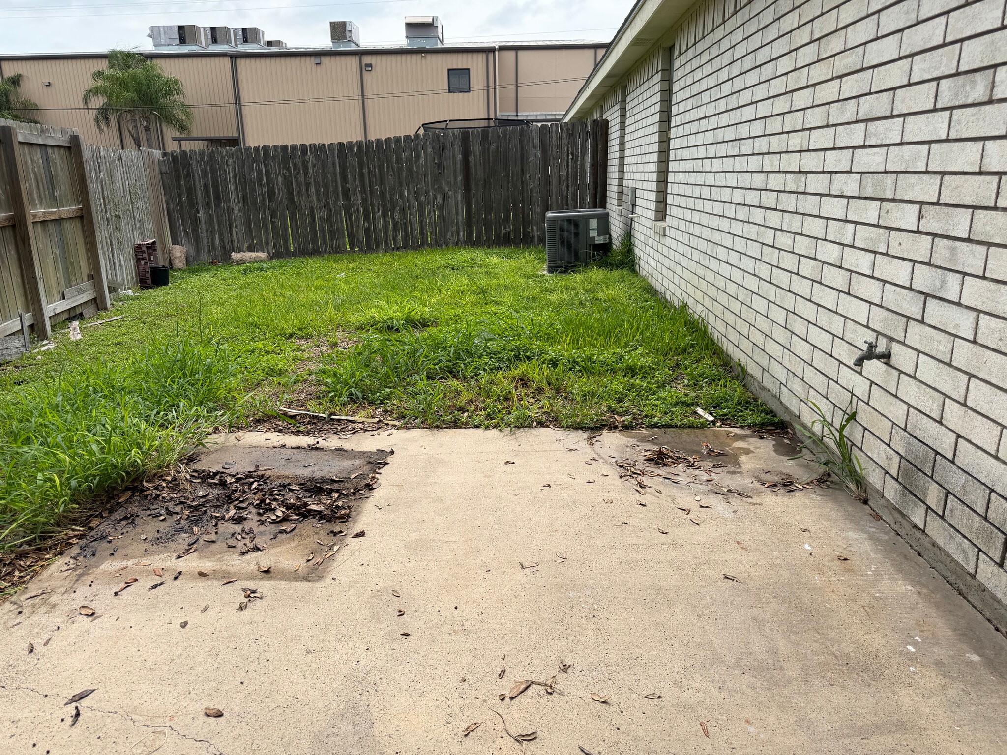 Backyard - 2201 Umbel St