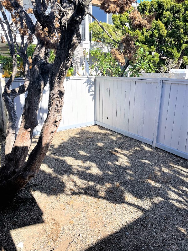 Building Photo - 325 Los Olivos