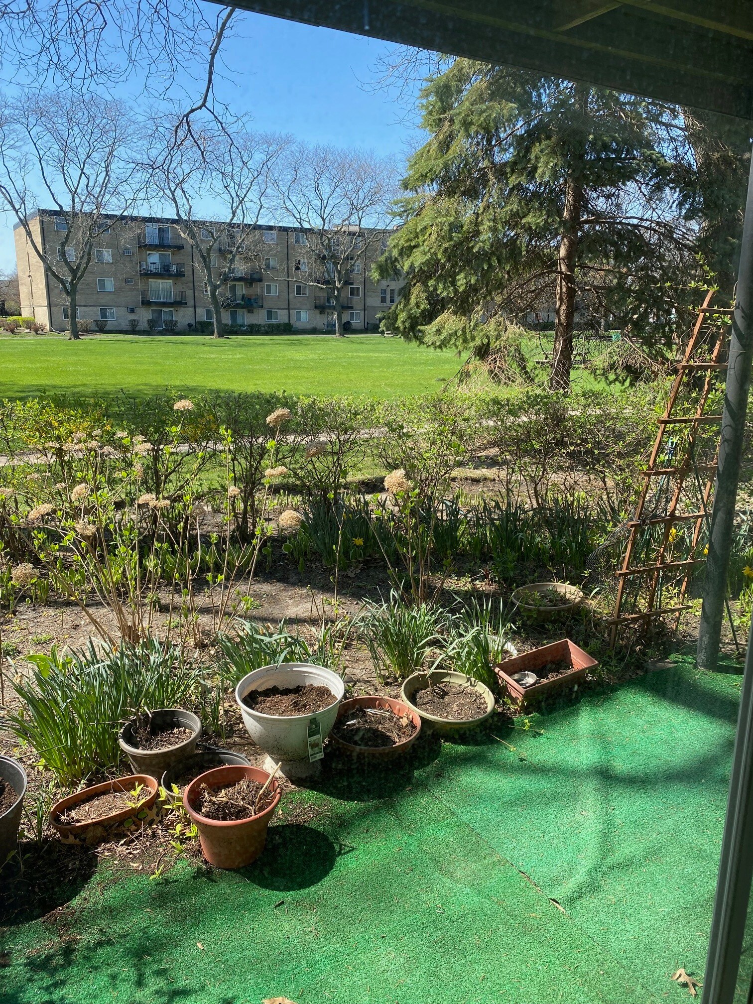 Building Photo - 2423 E Olive St