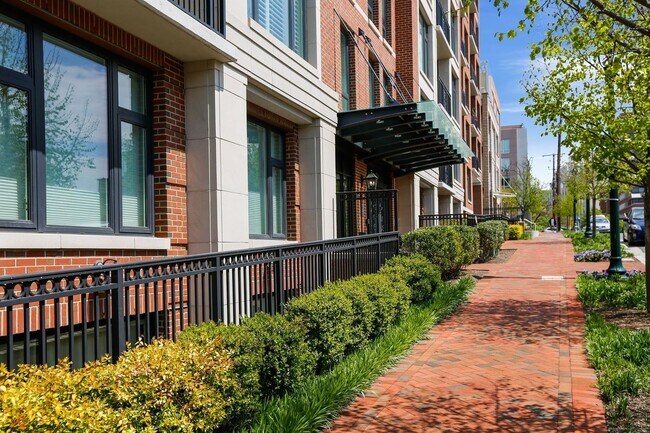 Building Photo - Gorgeous 2/2 with luxurious Lobby Level Condo in Hampden Row
