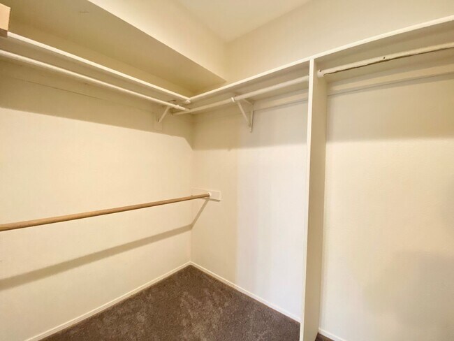 Building Photo - Spacious Home in Vista Primera