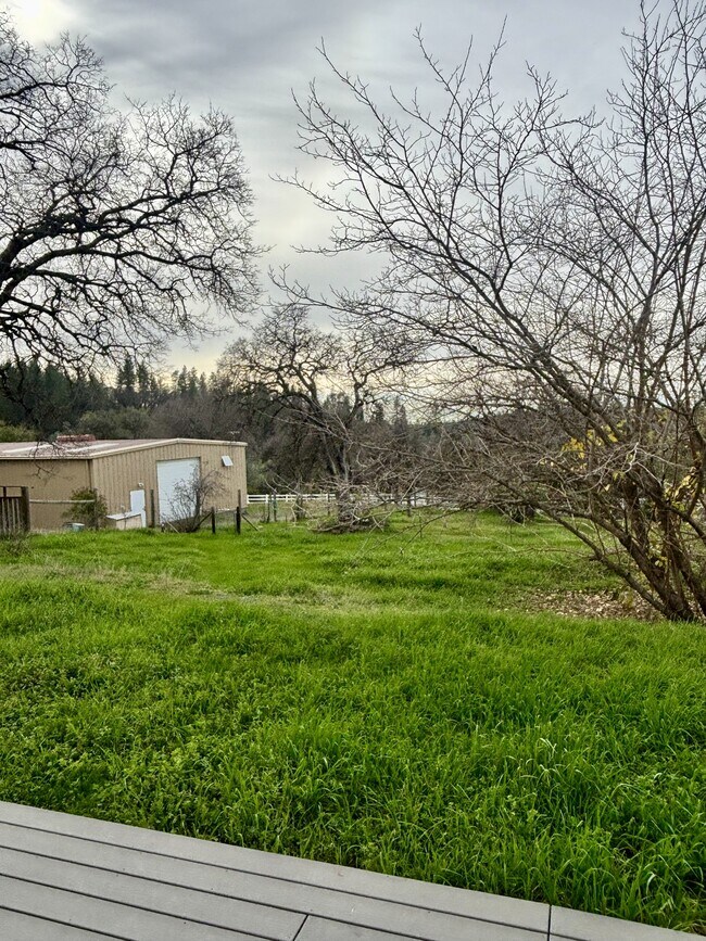 Building Photo - 10389 N Ponderosa Way