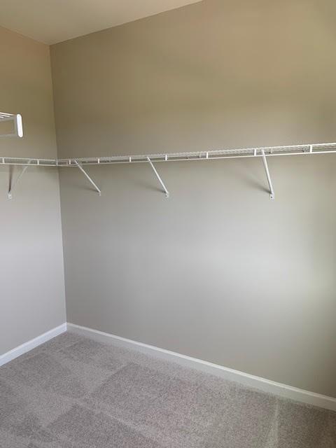 Building Photo - 4225 Essex Pond Wy