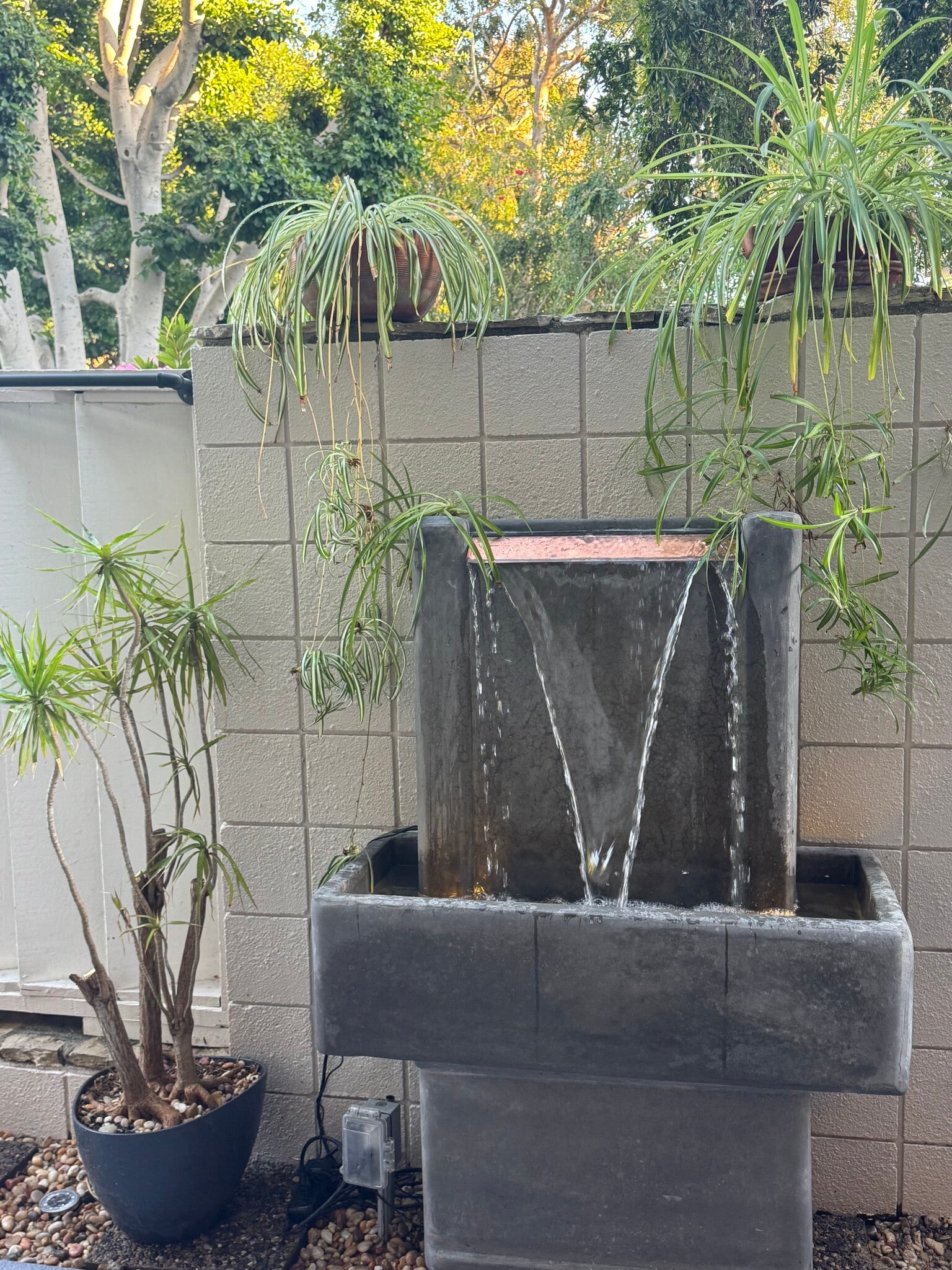 Fountain in private patio - 241 S Barrington Ave