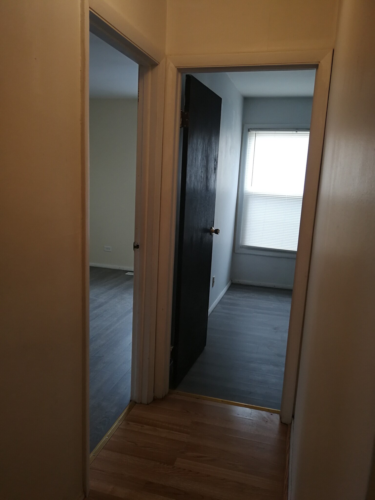 Building Photo - 1291 N Glen Cir