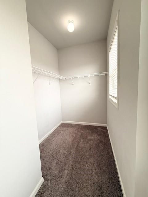 Building Photo - 4502 Big Rock Rdg Trl