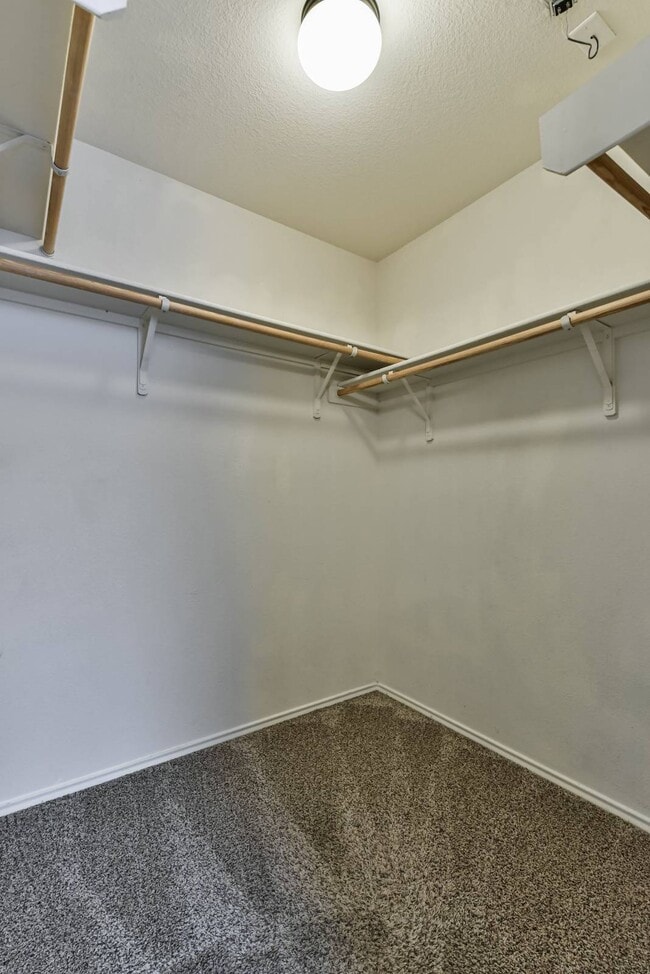 Building Photo - 4600 Donegal Bay Ct