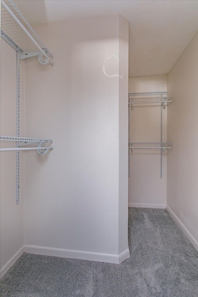 Building Photo - Updated 4-Bedroom Longwood Rental with Pool & Lawn Care Included – Move-In Ready