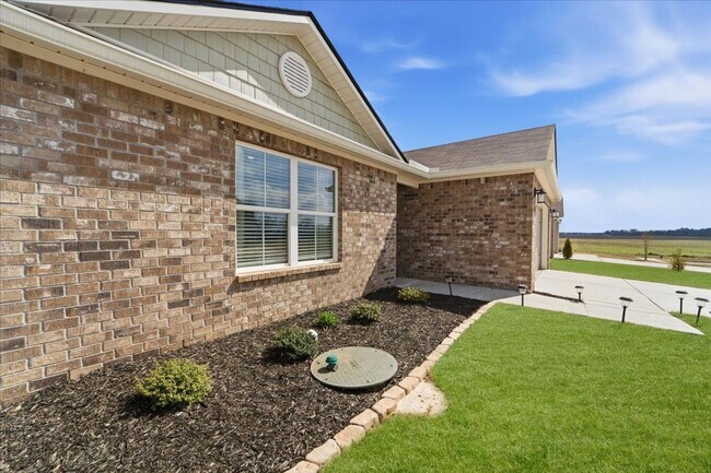 Building Photo - 147 Joya Brk Wy