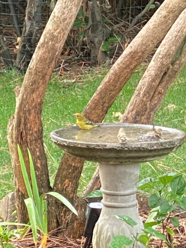 Building Photo - 3945 S Elmgrove St