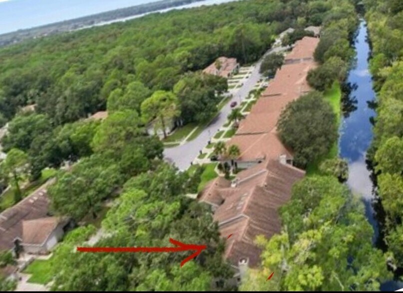 Building Photo - 4399 Brooker Creek Dr