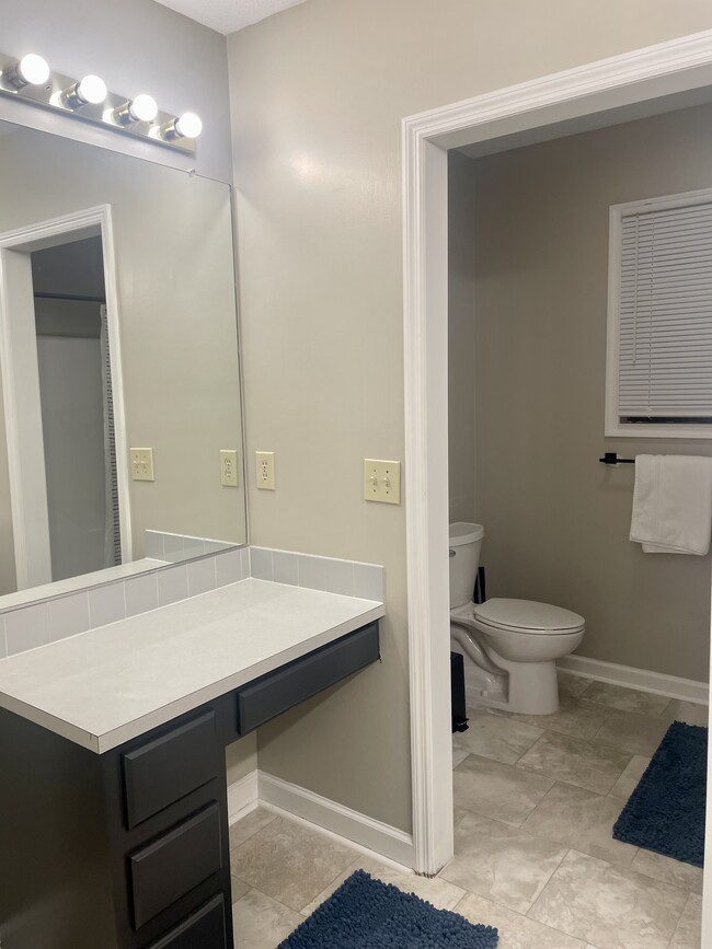 Master Bathroom - 2006 Aspen Way