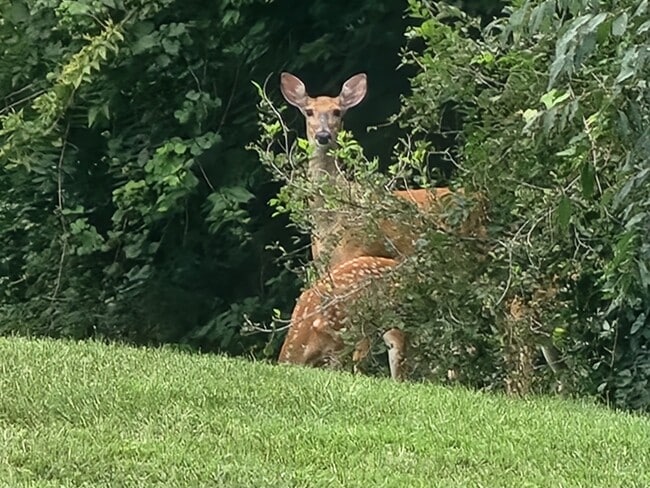 Building Photo - 5844 Acres Rd