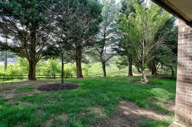 Building Photo - 2 BR/2 BA Garden Level Condo
