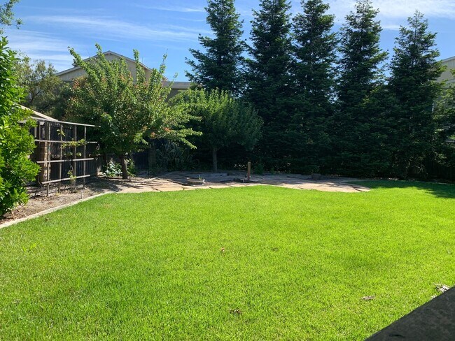 Building Photo - Single Level 4 Bedroom with a Lovely Backyard!! Co signers are accepted ~ Near SSU