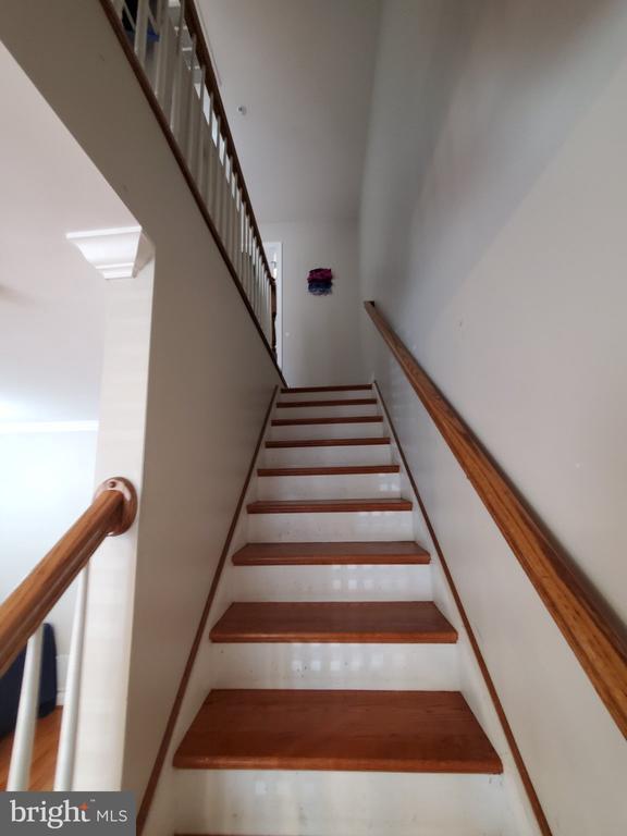 Building Photo - 3709 Fords Ln