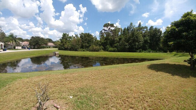 Building Photo - 10854 Wild Cotton Ct