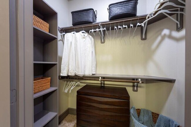 Building Photo - 1 bedroom in Houston TX 77007