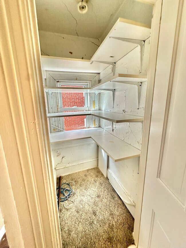 Building Photo - RENOVATION PREVIEW - Astonishing Adams Mor...
