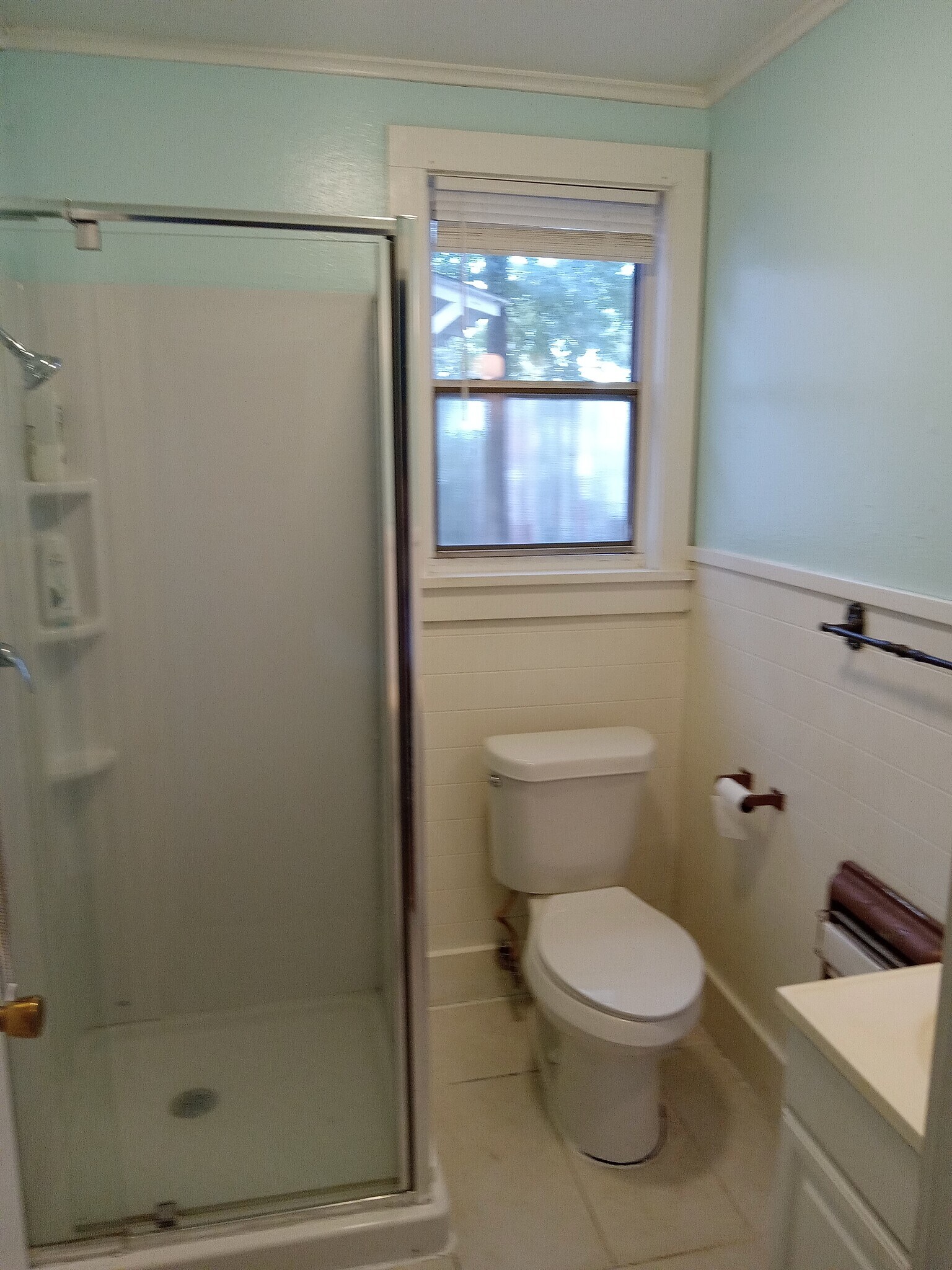 Bath wt shower - 305 S Magnolia St