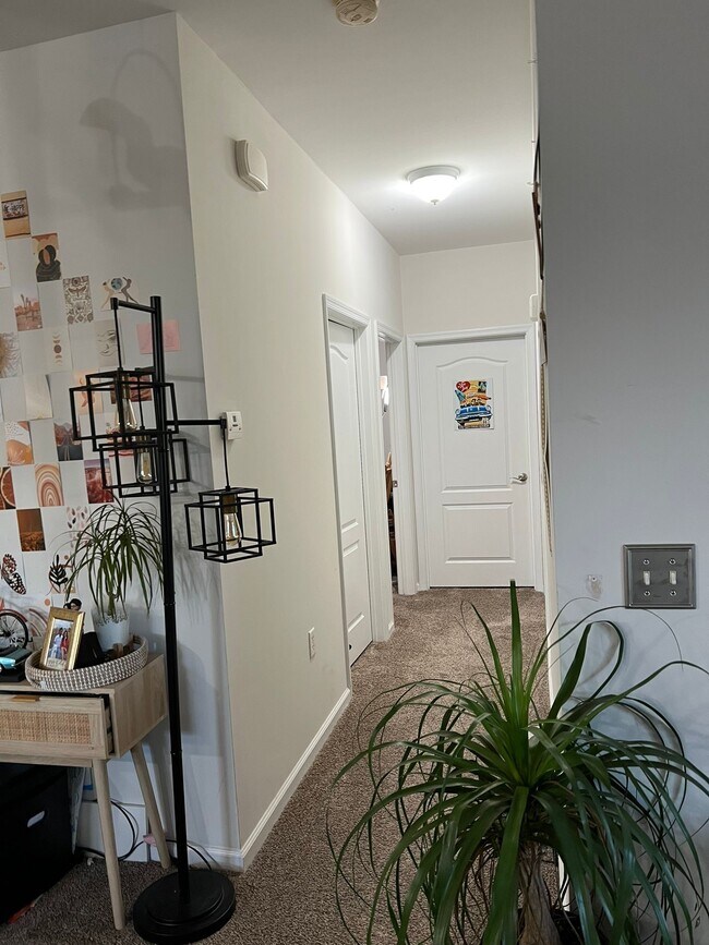 5304 Warminster Dr 5304 Warminster Dr Virginia Beach VA 23455